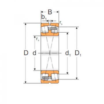 Bearing 23230 MBW33 MPZ