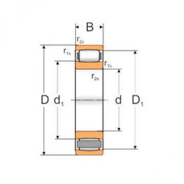 Bearing C2220M MPZ