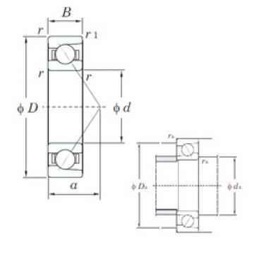 Bearing 7006 KOYO