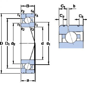 Bearing 7006 CE/HCP4AL1 SKF