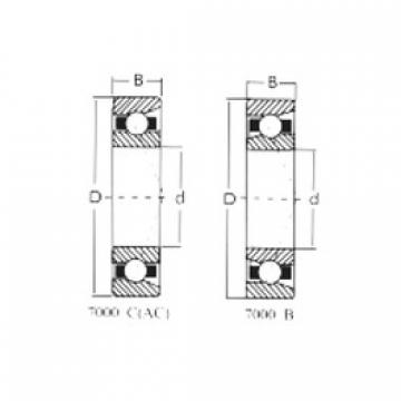 Bearing 7007C CRAFT