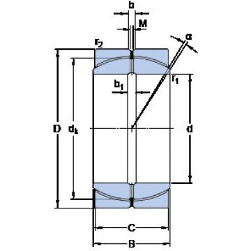 Bearing GEP 460 FS SKF