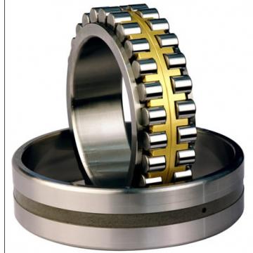 Bearing NNU4096MAW33