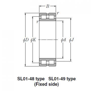 Bearing SL01-4936