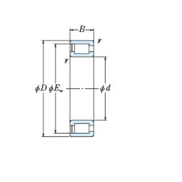 Bearing NCF18/800V