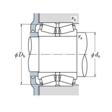 Bearing NA130902/131401D