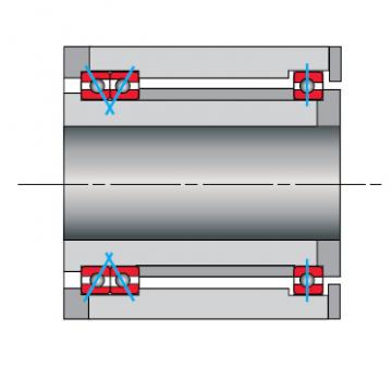 Bearing NF250CP0