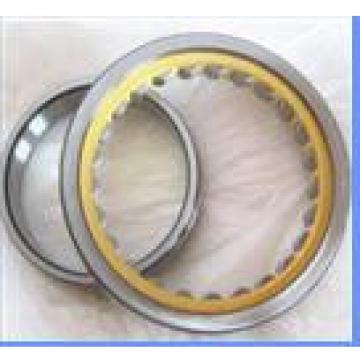 Rexroth hydraulic pump bearings F-14973