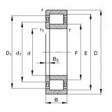 Bearing NUP213-E-TVP2 FAG