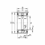 Bearing SL04150-PP INA