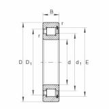 Bearing SL1818/1000-E-TB INA