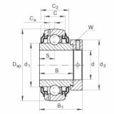 Bearing GE25-KRR-B-2C INA