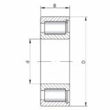 Bearing SL181852 ISO