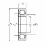 Bearing NUP216 NTN