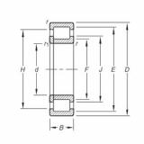 Bearing NUP2204E.TVP Timken