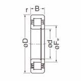 Bearing NUP2206EG NACHI