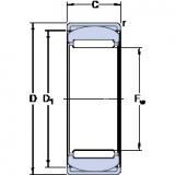 Bearing RPNA 30/47 SKF