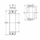 Bearing RSF-48/500E4 NSK