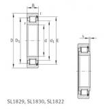 Bearing SL181892-E INA