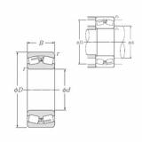 Bearing LH-22210C NTN