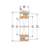 Bearing 23236KMA MPZ