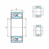 Bearing PSL512-306 PSL