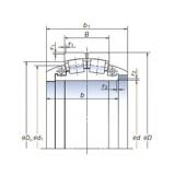 Bearing SL1120-3 NSK