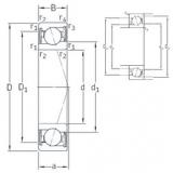 Bearing VEB 12 /S 7CE1 SNFA