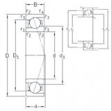 Bearing VEB 100 7CE3 SNFA