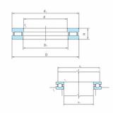 Bearing PSL912-300 PSL