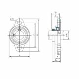 Bearing UFL004 NACHI