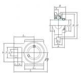 Bearing UCTX06-19 KOYO