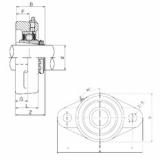 Bearing UKFL206 CX