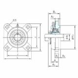 Bearing UKFS305+H2305 NACHI