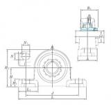 Bearing UKP205SC KOYO