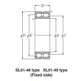 Bearing SL01-4926